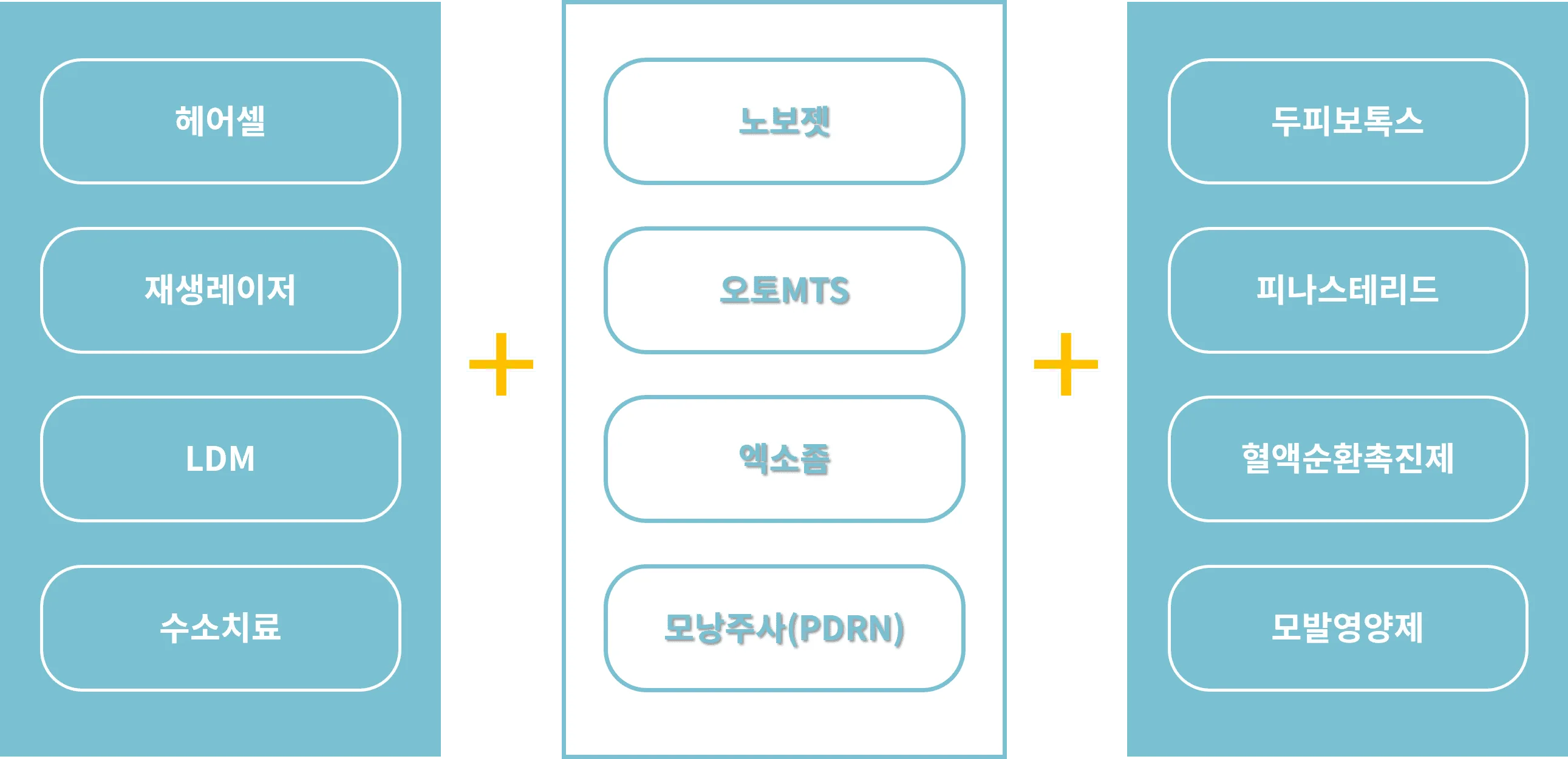 탈모5 탈모5
