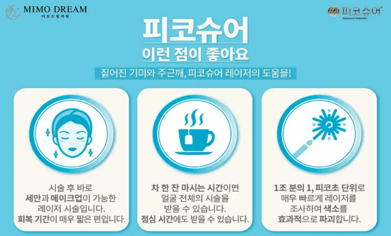 [크기변환]피코슈어10