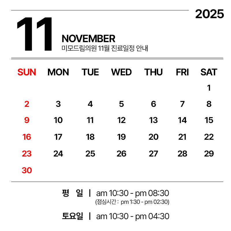 11월 진료일정