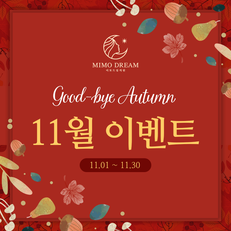 11월 이벤트