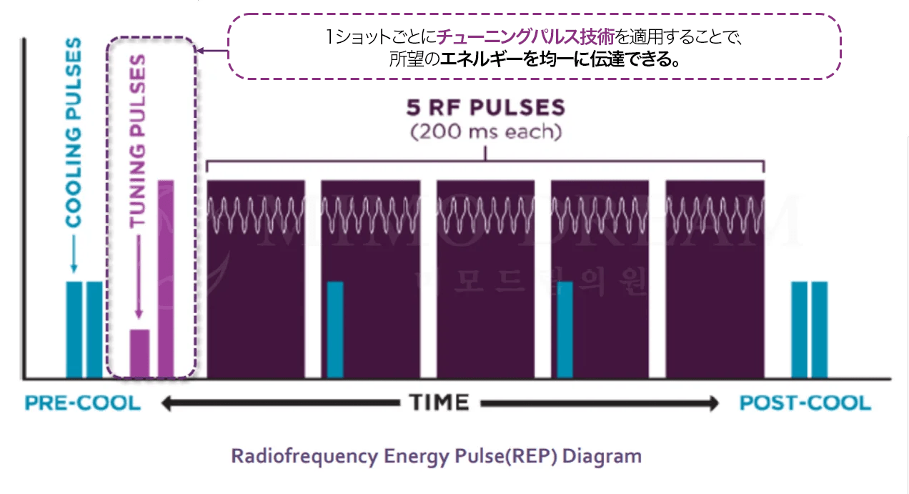 KakaoTalk_Image_2026-01-23-11-47-01_005