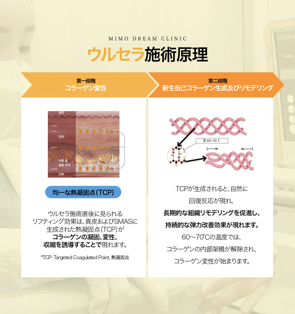 KakaoTalk_Image_2026-01-23-11-47-01_012